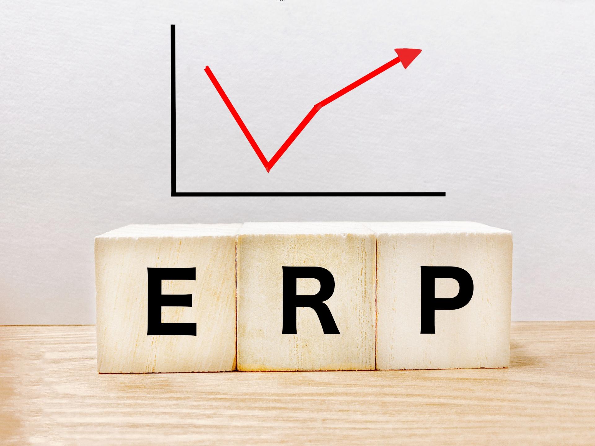 ERPが抱えるセキュリティリスクとは？対策強化の方法やツールを紹介