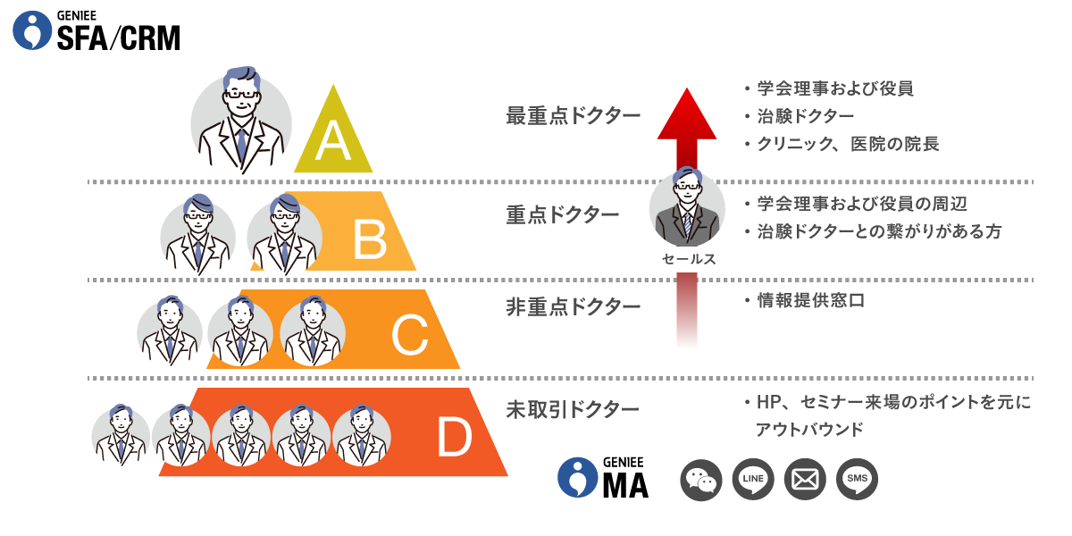 大手 製薬メーカーにおける活用イメージ（医療用医薬品事業）│エンタープライズSFA導入事例